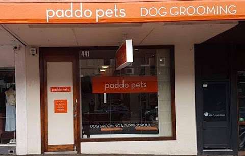 Photo: Paddo Pets, Paddington